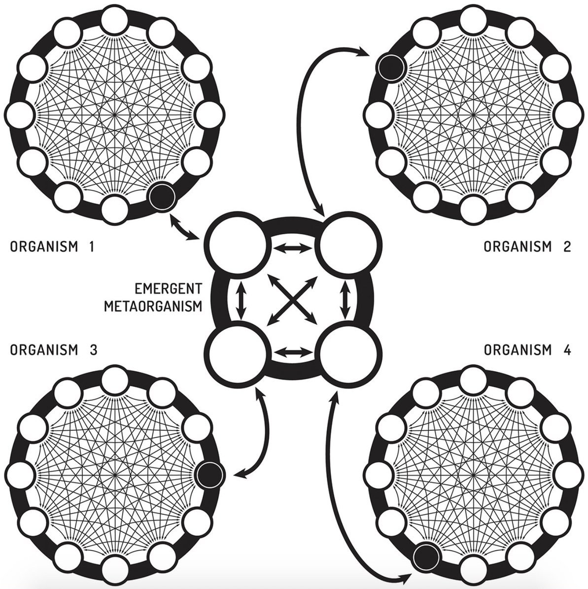 Emergent Metaorganism